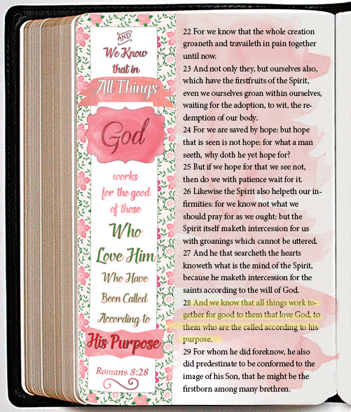 romans 8.28 bible journaling