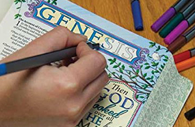 inspire-bible-BIble-journaing-400c