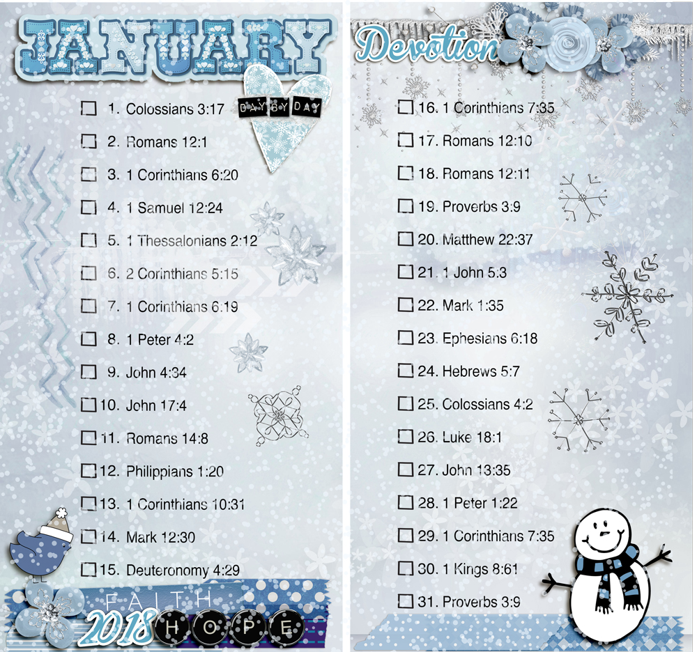 jan2018withsnow